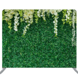 Bosque verde backdrop